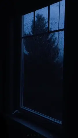 #rainyday #peaceful #relax #calm #rain 