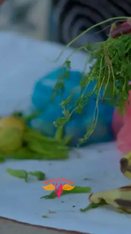 MAXAMED BAKAL CIRRO - HOOYO [OFFICIAL VIDEO] 2025#somaliland #somalia #mohamedmuhani 