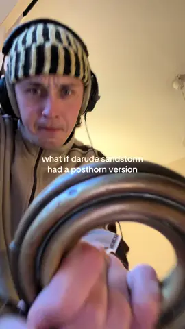 my best one yet #darude #sandstorm #darudesandstorm #cover #posthorn #posthornpaul 