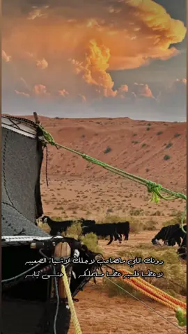 #بدو #الماضي #ايام_زمان #قديم #اكسبلورررررررررررررررررررر💥🌟💥🌟💥💥🌟🌟🌟🌟🌟 