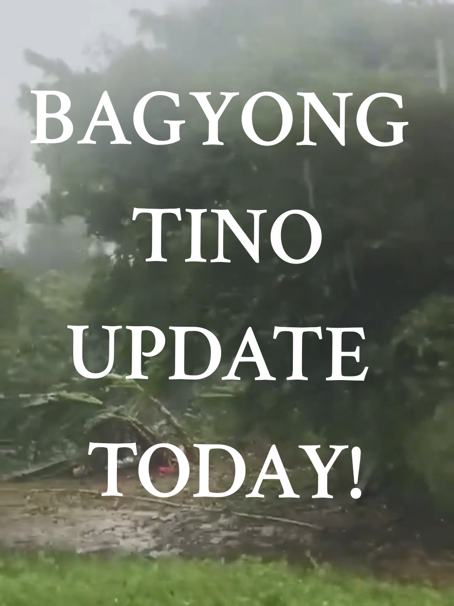 Bagyong Tino update today  bagyo today update  #bagyongtino #bagyongtinopdate #bagyoupdatephilippines #bagyo 