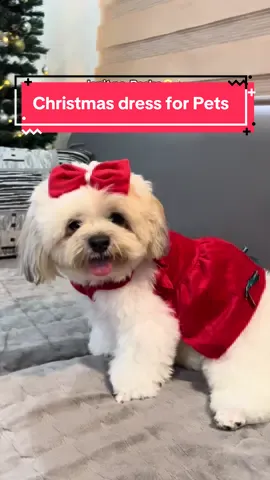 now is the best time to buy a Christmas outfit for your furbaby 🐾🐶🧑‍🎄🌲baka magmahal o maubusan na ng sizes pagdating ng December! 🦌☃️ #petclothes #dogclothes #petdress #dogdress #christmasoutfit 