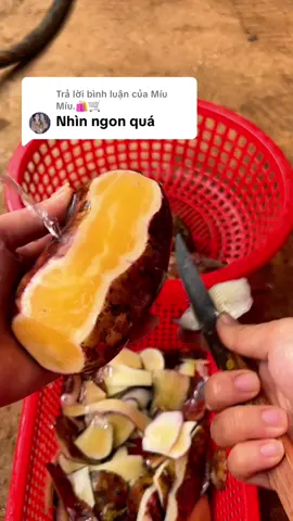 Trả lời @Míu Míu.🛍🛒 Sâm đất Lào Cai ngọt mát #samdat #dacsanlaocai #dacsantaybac #xuhuong 