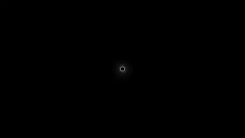 because i'm stupid>>>> #creatorsearchinsights #lyrics_songs #mmsublyrics #fyp #foryou 