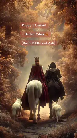 #fbaa #bloodandash #casteeldaneer #booktokgermany #booktokdeutschland 