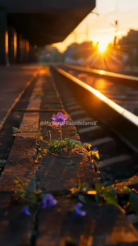 🕯️Bom dia povo do axé 🕯️ #segunda #axe #orixas #exu #umbanda 