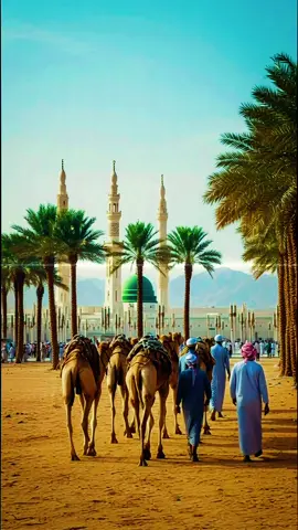 #creatorsearchinsights 