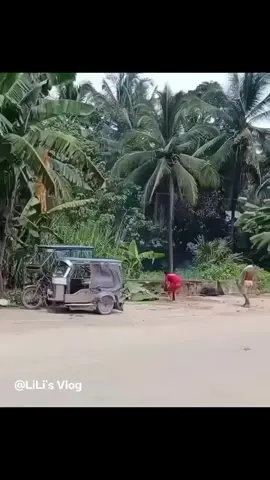 #😂😂😂#❤️#Please follow me 🥺