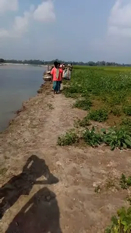 জেলেরা যখন যমুনা নদীতে মাছ ধরতে যায় #foryou #vairal #viralvideo #video 