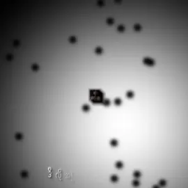 အူယားအောင်လုပ်ပြနေမှတော့ဟိုတယောက်စိတ်မထိန်းနိုင်တာအပြစ်မဟုတ်ပါဘူးလေ😌#Ziyu #tianxuning #fy #fyp 