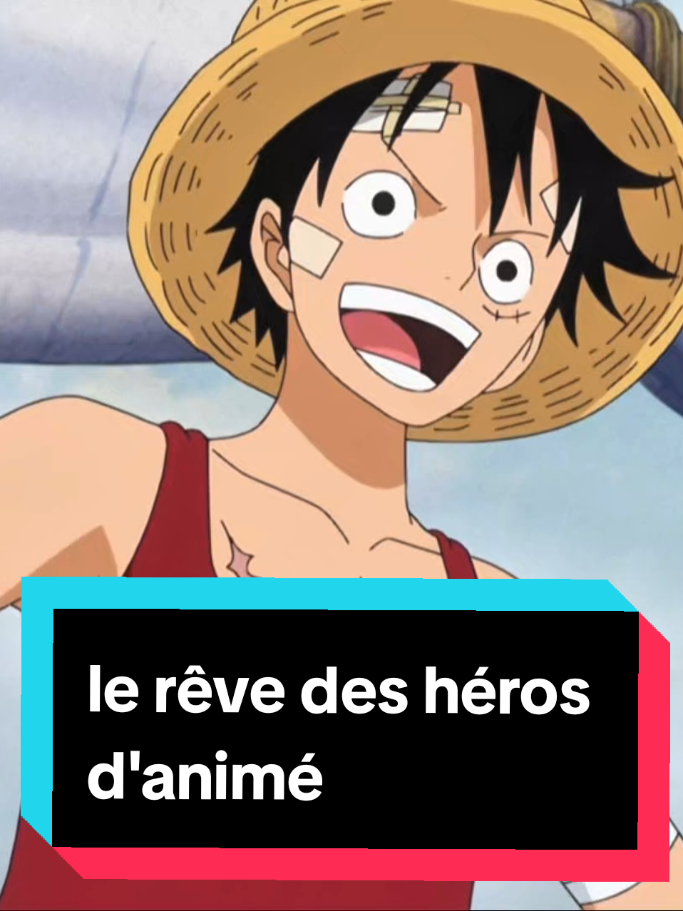 le rêve des héros d'animés #anime #OnePiece #naruto #demonslayer #attaquedestitans @FOR_ANIMATION😅 