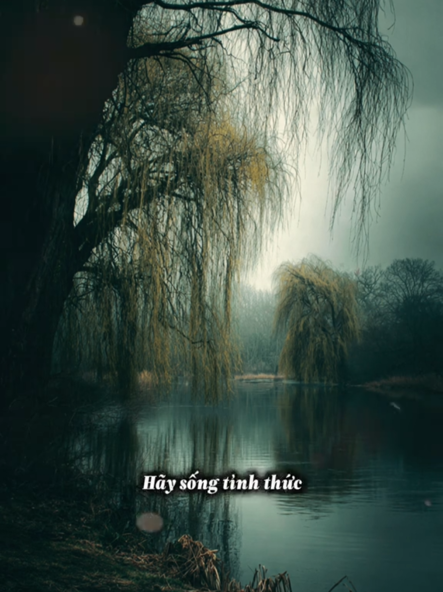 Khai sáng #muonkiepnhansinh #ynghiacuocsong 