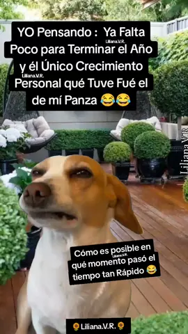 #Meme #MemeCut #CapCut 