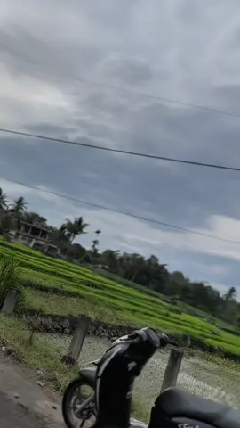 keonghitam🐌🖤#scoopy #scoopymodifikasi #scoopyindonesia #fyp #fyppppppppppppppppppppppp 