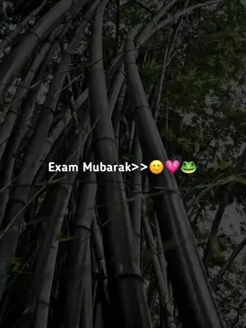 Exam Mubarak..!!🙂💗🐸#jh7jobayer #poryoupageシ #tiktok #tihokbangladesh 