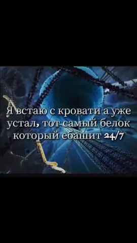 #тикток #fyp #рек #мем