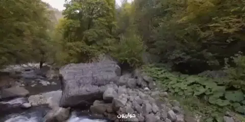 🎞️     فلاشة  أناشد كل الذين هم في مواقع المسؤولية أن يتقوا الله أكثر؛ لأن المسؤولية عليهم أكثر، المسؤولين في الدولة#🇾🇪🌺  #حواريون #اكسبلورexplore #explore 