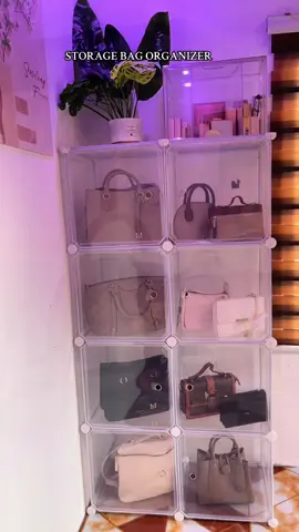 STORAGE BAG ORGANIZER #bagorganizer #cabinetdrawer #storagebagorganizer #storagebox #bag 