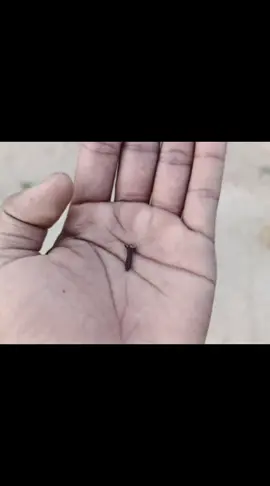 foryoupage #wazifa #amliyat#taveez#kuwait_oman  #plzsupport