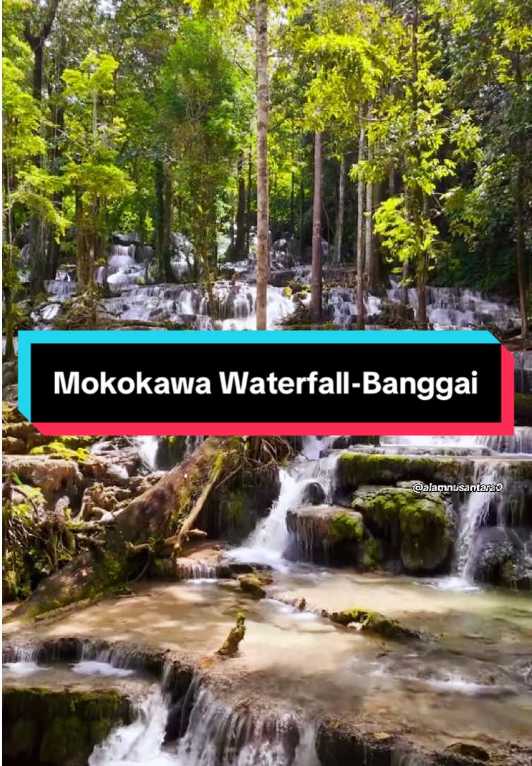 Air terjun cantik ini berlokasi ditengah hutan Hanga-Hanga, Kec. Luwuk Selatan, Kabupaten Banggai, Sulawesi Tengah. #pesonaindonesia #wonderfulindonesia #foryou #pariwisata #viral 