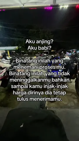 #binatang #yang #tulus #fyp 