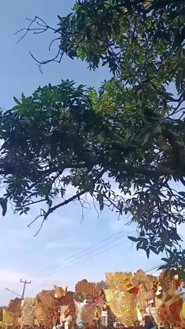 PESONA DEPOK NEW CRYSTALLIA NADA  #fyppppppppppppppppppppppp 