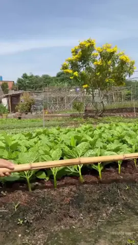 #😔😔😔😔😔😔😔😔😔😔😭😭😭😭😭😭😭😭😭😭😭😭 