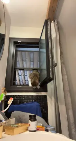 hehehehehe... 💥 ... 🦅 (ig: deadimeglio)