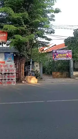 kediaman@DA7.Valen pamekasan, ternyata selalu di lewati klo pergi ke kota😇 