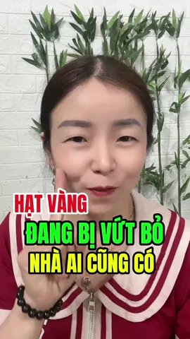 Hạt vàng đang bị vứt bỏ  #xuhuong  #xuhuongtiktok  #suckhoechomoinguoi  #danghuongsuckhoe 