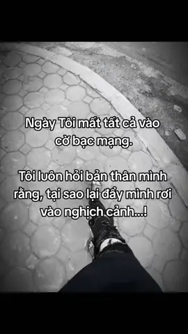 #chill #fyp #tat #ca #xh 