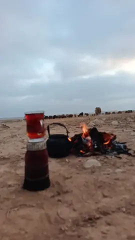 #شعر_وقصائد #تصويري📸 #خلدون📸 #تصويري_احترافي_الاجواء👌🏻🕊😴 #🥹💔💔🥀 