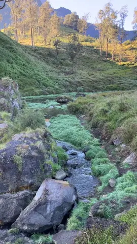 pelawangan 2🍃 #3726mdpl #gunungrinjani3726mdpl #gunungrinjaniviasembalun #gunungindonesia🇮🇩 