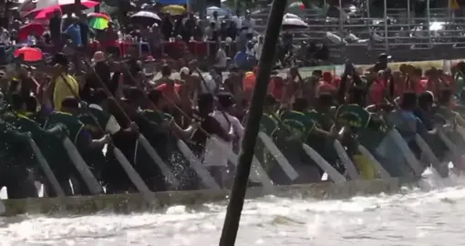 Ghe ngo ngan dừa trên sông maspero#ngengongandua #ghengosoctrang #ghe #ngengo #đuaghengosoctrang 