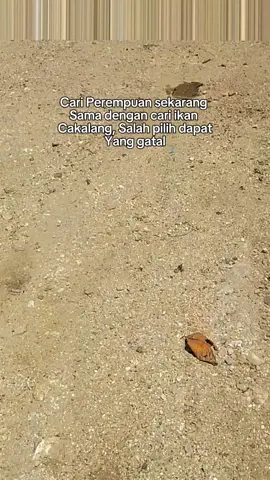 😂#fyppppppppppppppppppppppp #fypシ゚viral🖤tiktok #brandatiktokfyp #CapCut 