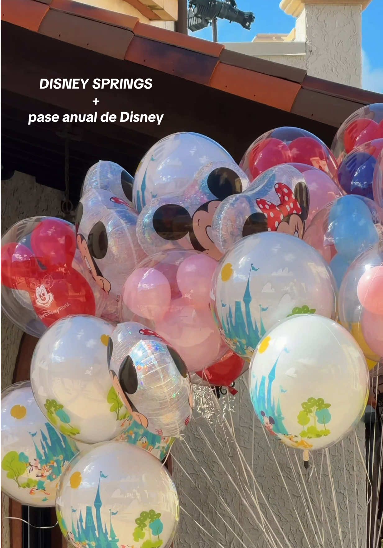 Y así fue cómo comenzamos un día normal en Disney Springs y terminamos con el pase anual de Disney ✨🎉💕 #waltdisneyworld #disney #disneysprings  #orlandoflorida #disneyworldflorida 