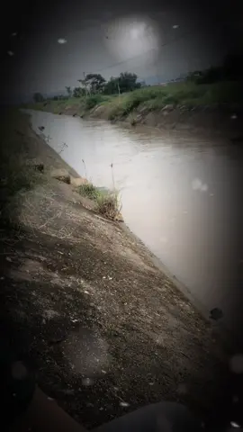 Những câu nói hay ý nghĩa…#xuanhuyet1994 #nhungcaunoihay #nhungcaunoidangsuyngam #thinhhanh #suyngam 