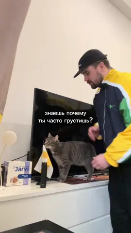 #кот
