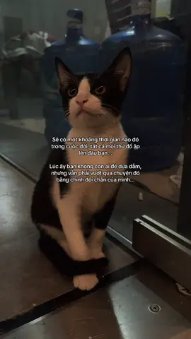 “Giờ thì mình sẽ trưởng thành hơn, kiên cường hơn, không còn như lúc trước…” #tamtrang #fyp #xuhuong 