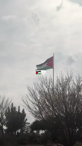 🤍 #ammanjordan #jordan #amman #explorepage #alsalt #explore #foryoupage #الاردن #عمّان #عمان_الأردن #السلط #وادي_الريان #مبتعثين_الاردن #الأردن #الأردن🇯🇴 #المملكة_الاردنية_الهاشمية🇯🇴 #المملكة_الاردنية_الهاشمية #النشامى #فوريو_العرب #اكسبلور #الشعب_الصيني_ماله_حل #الشعب_الصيني_ماله_حل😂😂 