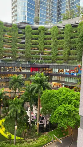 🌳🍃 Hijau di tengah keramaian #tunjunganplaza6 #surabayahitz  #tunjunganplaza #fyppppppppppppppppppppppp  #trendtiktok 