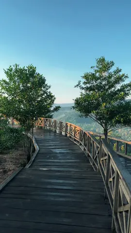 #alamindonesia #puncakostarkoltim #sulawesitenggara #fypage #fypシ゚ 