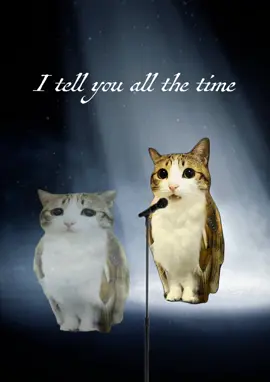 Repost appreciated, comment down your recommendations for next video! #meowl #viral #viralvideo #fyp #fy #lanadelrey #talent #catsoftiktok 