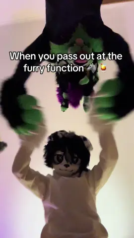 We pwomise we won’t lick you :3 @Lean 林 @Paup  . . . #furry #fursuit #kigurumi #kemono #party 