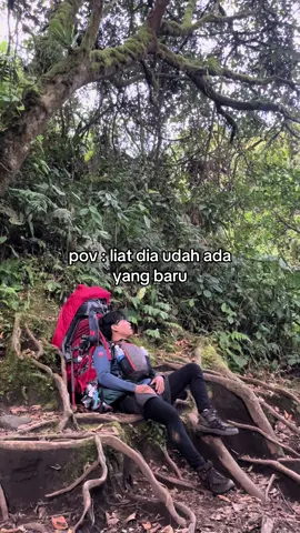 infokan tektok leuser atau cartenz #foryou #pendaki #porter #gunungkerinci #kayuarokerinci 