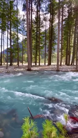 محتوي ديني🤲