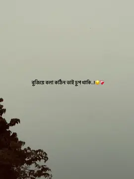 বুজিয়ে বলা কঠিন তাই চুপ থাকি..!😔❤️‍🩹 #captionvideo🖤🌼 #bdtiktokofficial🇧🇩 #banglacaption #unfrezzmyaccount #trend 
