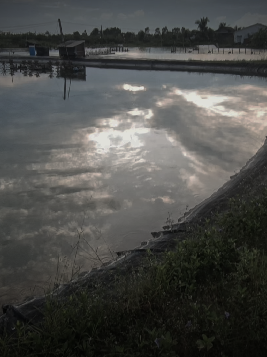 #xuhuongtiktok #viral #buon #chill #tamtrang 