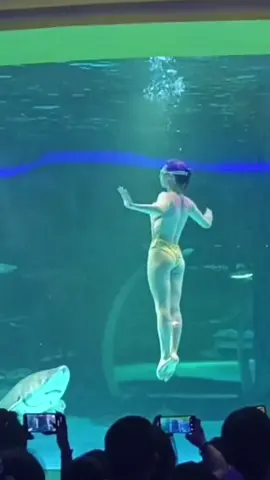 This is the mermaid show I've been looking forward to seeing for so long! #AquariumMermaid #MermaidShow #ADayWithAMermaid #MermaidFreediver #Spokane,Washington