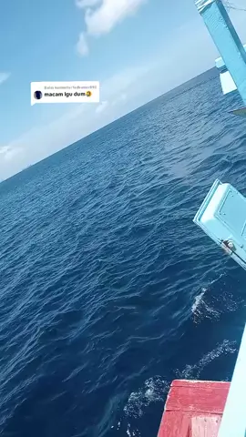 Membalas @fadkumar893  #lagu_hna_pah_ule🤣 #pulo_sabangggg